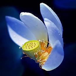 KK对战平台新图推荐 糟糕！我拿到的剧本竟是帮会领袖？